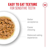 Royal Canin Ageing +11 Cat Wet Food Pouch 85g easy to eat texture for sensitive teeth