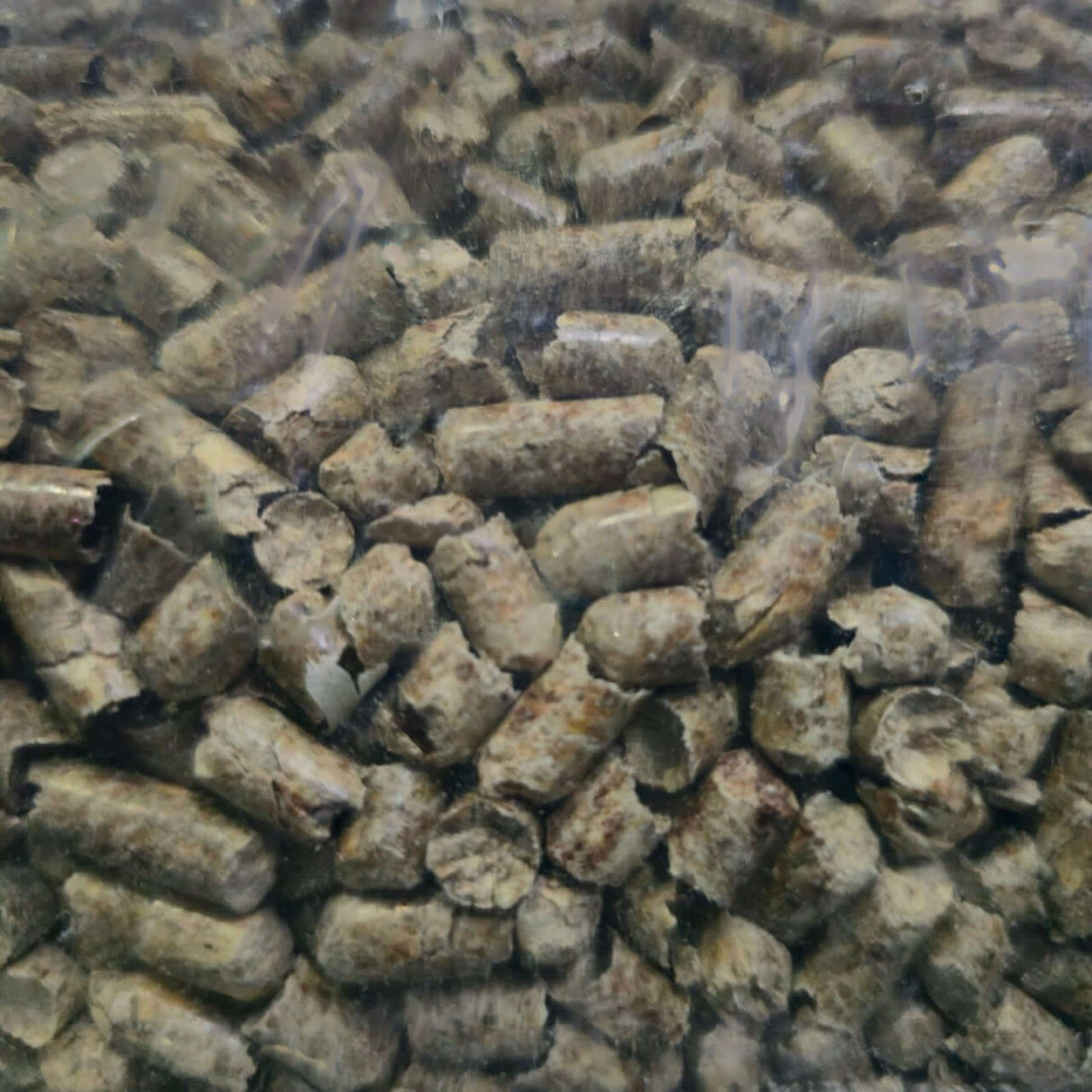 Eco Wood Cat Litter Pellets in a bag, made from 100% natural biodegradable wood, ideal for odor control and absorbency.