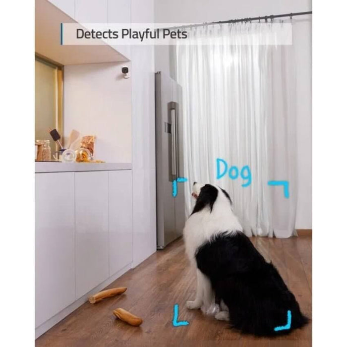 Indoor scene with a dog detected by a camera, highlighting pet detection features.