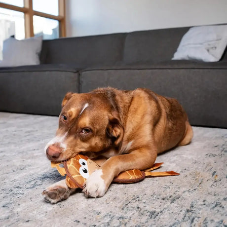 Dog playing with Fire Biterz Giraffe Dog Toy on a rug in a cozy living room.