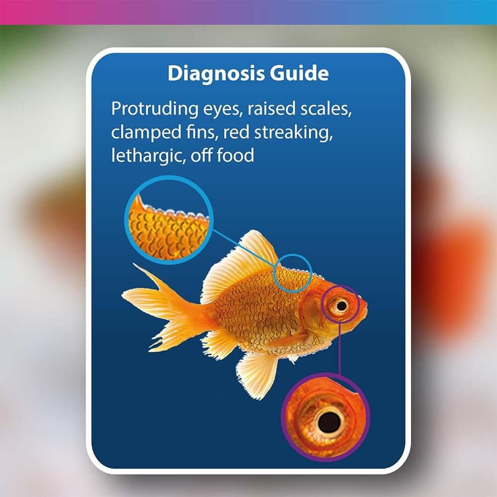 Diagnosis guide for fish health showing symptoms like protruding eyes and clamped fins.