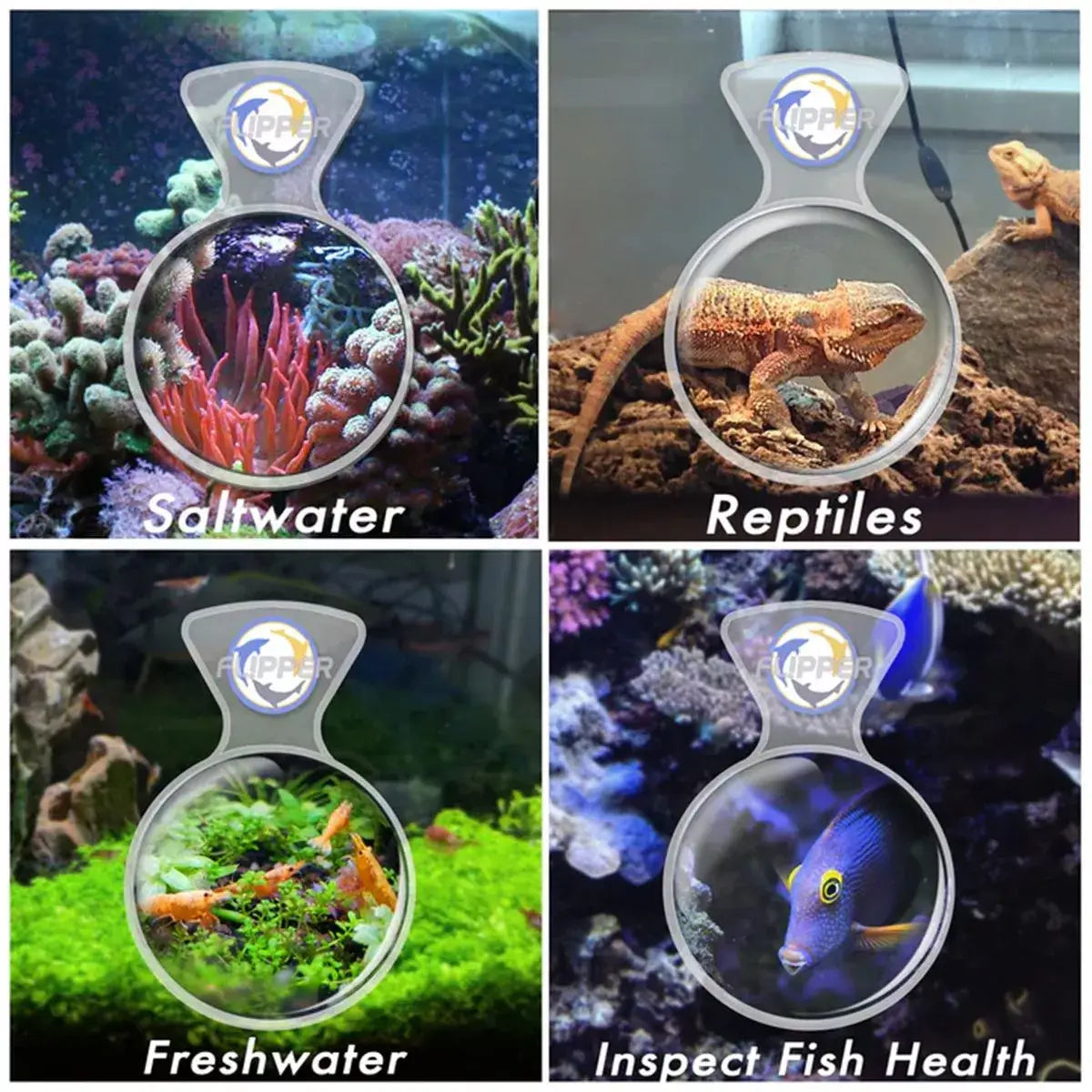 Flipper DeepSee Clear Magnified Viewer showcasing saltwater, reptiles, freshwater, and fish health inspection.