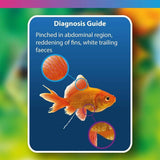 Diagnosis guide illustrating signs of fish health issues: pinched abdomen, red fins, white trailing feces.