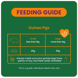 Feeding guide for guinea pigs detailing portion sizes for small and large pets with care instructions.