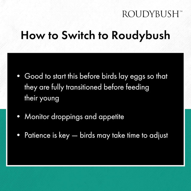 How to Switch to Roudybush guidelines for birds, including monitoring signs and patience during the transition.