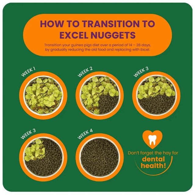 Transition guide for guinea pigs to Excel Nuggets, showing weekly diet changes and dental health tips.
