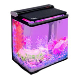Hygger Curve Mini Betta Aquarium 15L with vibrant decorations and LED lights, ideal for small spaces and desktop use.