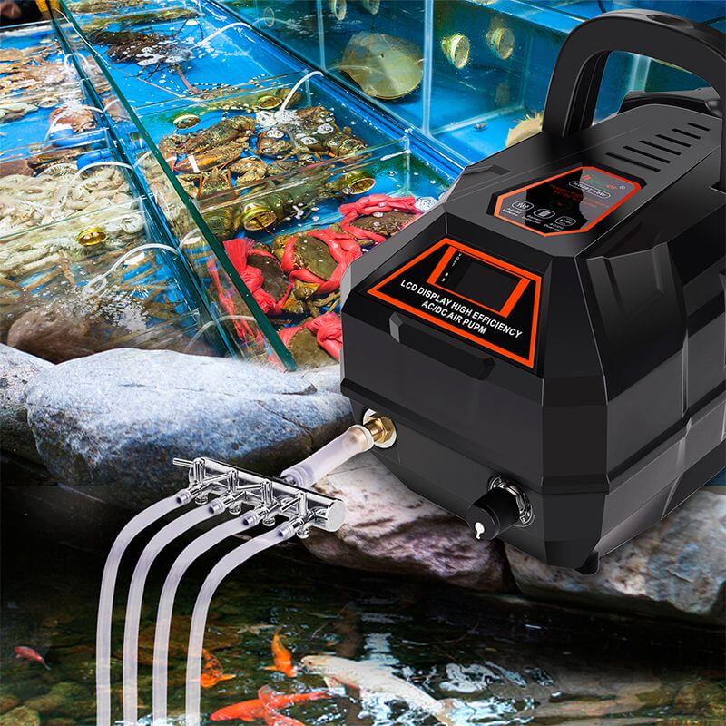 Hygger Portable Air Pump Kit in action with multiple air stones providing oxygen to aquarium water.