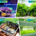 Various aquatic setups featuring saltwater, freshwater, turtle tanks, and hydroponics in vibrant environments.