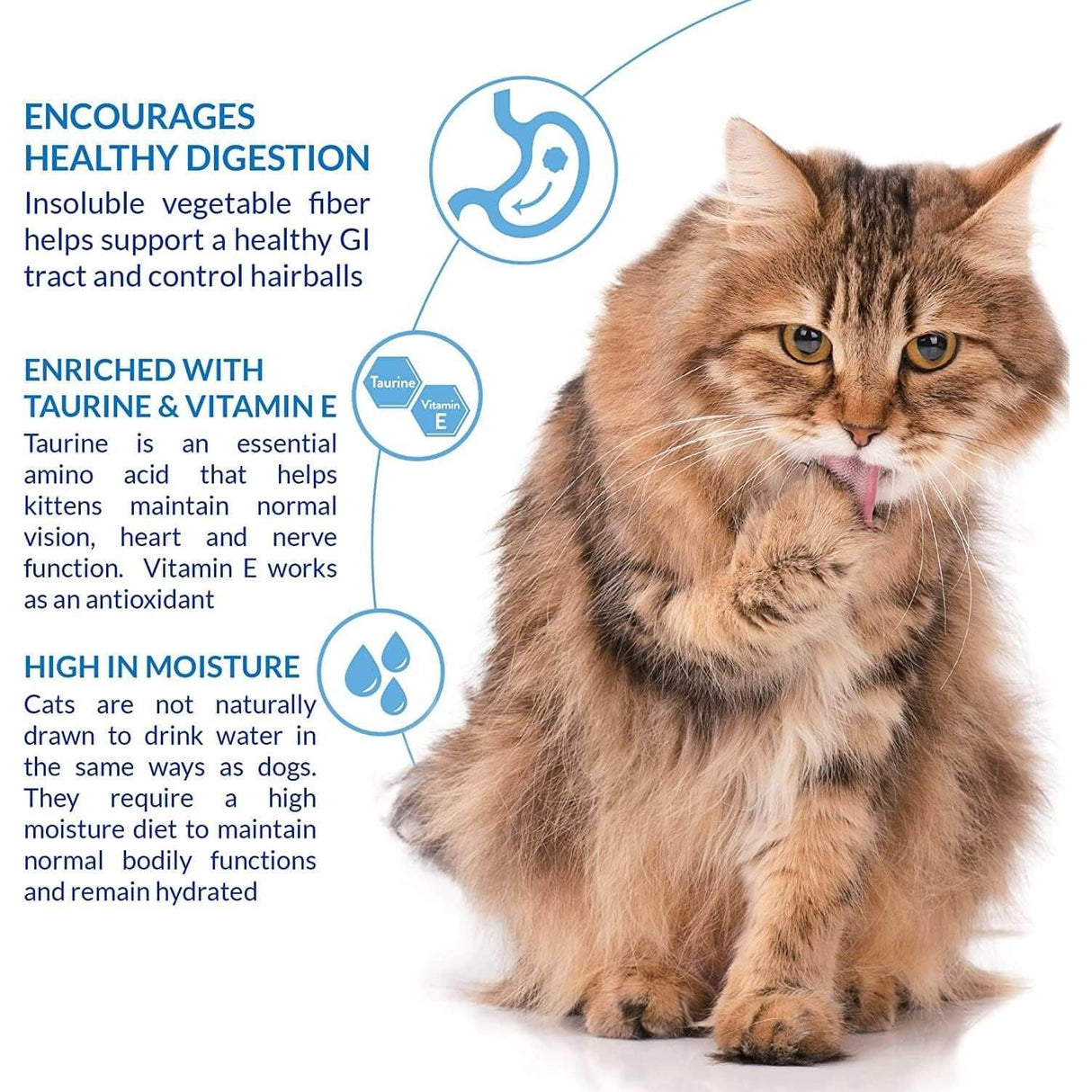 Cute fluffy cat promoting hairball control with high moisture, taurine, and vitamin E for digestion health.