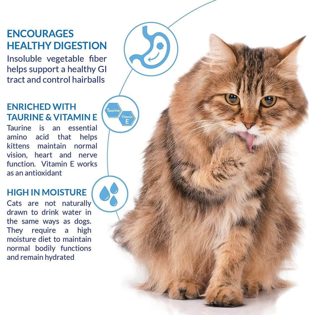 Cute fluffy cat promoting hairball control with high moisture, taurine, and vitamin E for digestion health.