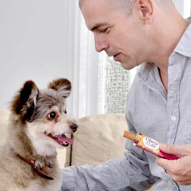 Man giving Inaba Churu Rolls dog treat to happy small dog, promoting pet bonding and healthy snacks.
