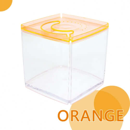 Ista Betta Tanks stylish orange acrylic display case for fishkeeping.