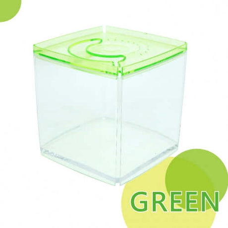Ista Betta Tanks - Stylish green acrylic display case, stackable design for fishkeeping.