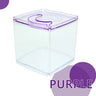 Ista Betta Tanks in purple color, stylish display case for fishkeeping, made from shatterproof acrylic.
