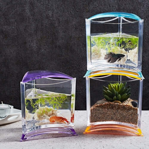 Stylish Ista Betta Tanks showcasing shatterproof design and stackable arrangement for modern fishkeeping decor.