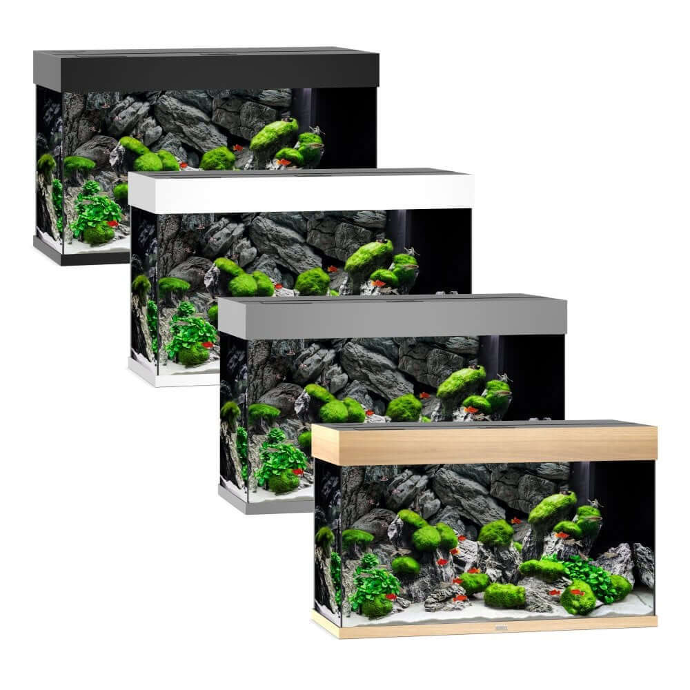 Juwel Rio Series available in four elegant aquarium designs showcasing lush aquatic plants and natural rock decor.