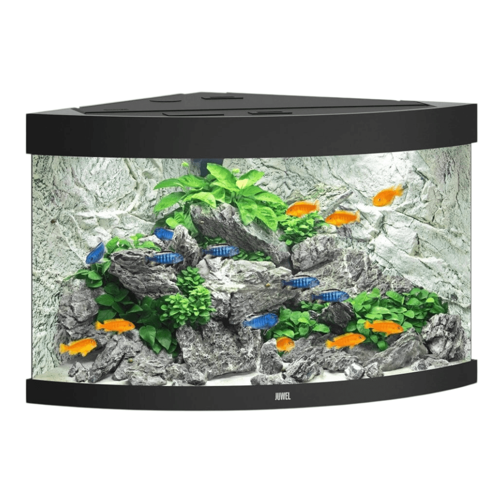 Juwel Trigon Series aquarium with vibrant fish and lush greenery, showcasing modern design and elegance.