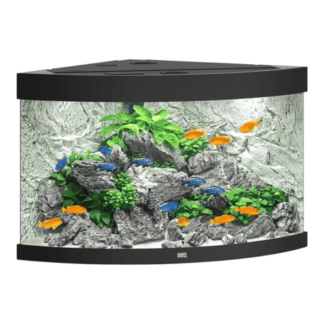 Juwel Trigon Series aquarium with vibrant fish and lush greenery, showcasing modern design and elegance.