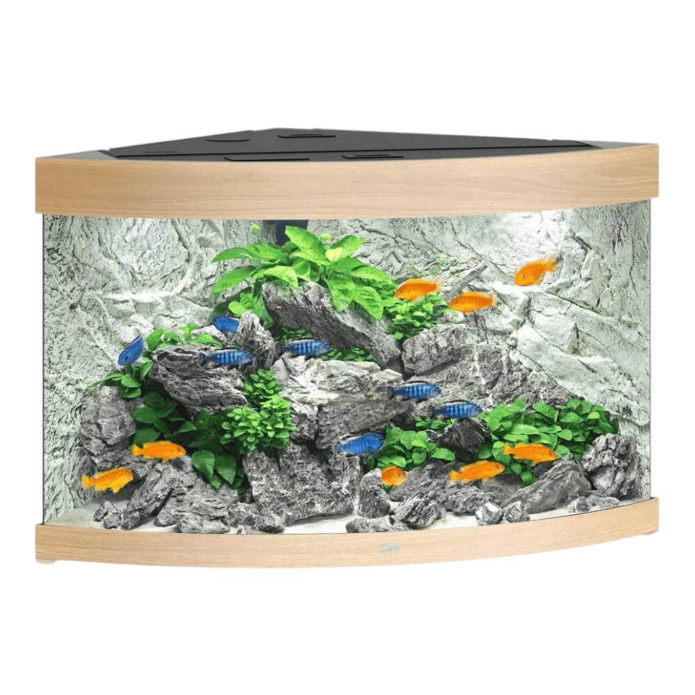 Juwel Trigon Series aquarium setup with colorful fish and lush greenery in a corner design.