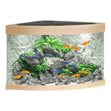 Juwel Trigon Series aquarium setup with colorful fish and lush greenery in a corner design.