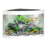 Juwel Trigon Series aquarium with colorful fish and decorative rocks, showcasing vibrant aquatic life.