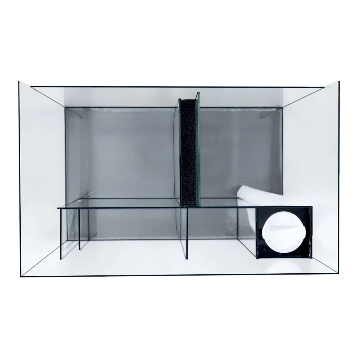 Inside view of Kraken Aquarium with integrated sump filtration system, showcasing premium Starfire glass design.