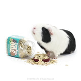 Guinea pig near spilled Little One Pea Flakes snack, highlighting a nutritious treat for small mammals.