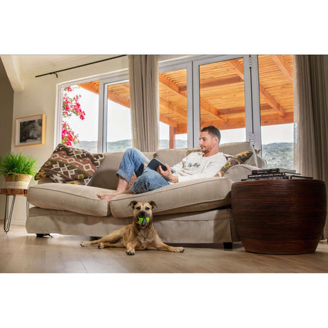 Man relaxing on a sofa with a dog playing with a Rogz Grinz Fetch Frog Toy in a bright living room.
