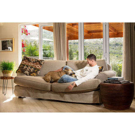 Man relaxing on a sofa with a dog, showcasing comfort and companionship in a cozy living room.