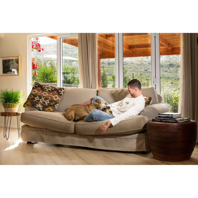 Man relaxing on a sofa with a dog, showcasing comfort and companionship in a cozy living room.