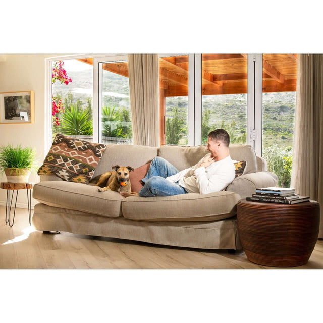 A man relaxing on a sofa with a dog, enjoying a cozy living room with large windows and natural light.