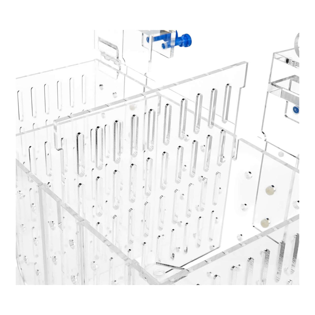 Marine Sources Fish Isolation Box interior with removable compartments and transparent acrylic design.