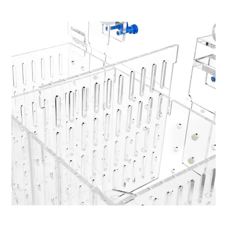 Marine Sources Fish Isolation Box interior with removable compartments and transparent acrylic design.