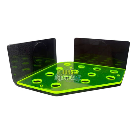 Marine Sources Magnetic Fluorescent Coral Bracket CRB-M-G13 for coral propagation with multiple frag plug holes.