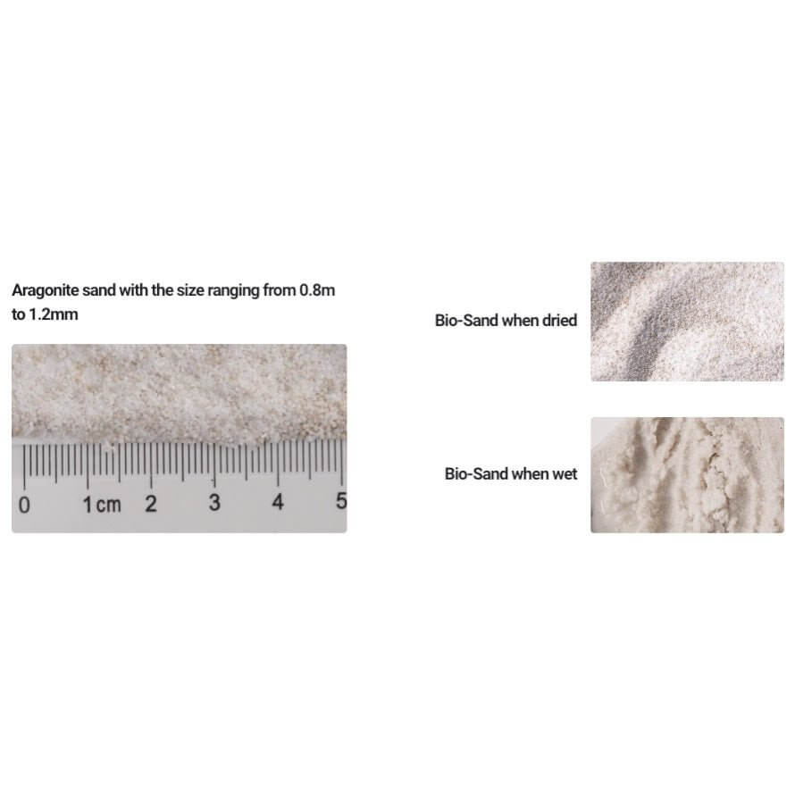 Aragonite sand 0.8 to 1.2mm size comparison with dried and wet Bio-Sand samples for aquarium use.