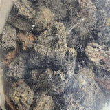 Mini Lava Rock 2.5kg - Natural volcanic rock substrate for aquariums, ideal for freshwater and planted tanks.