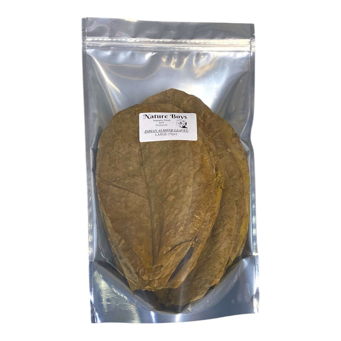 Nature Boys Indian Almond Leaves