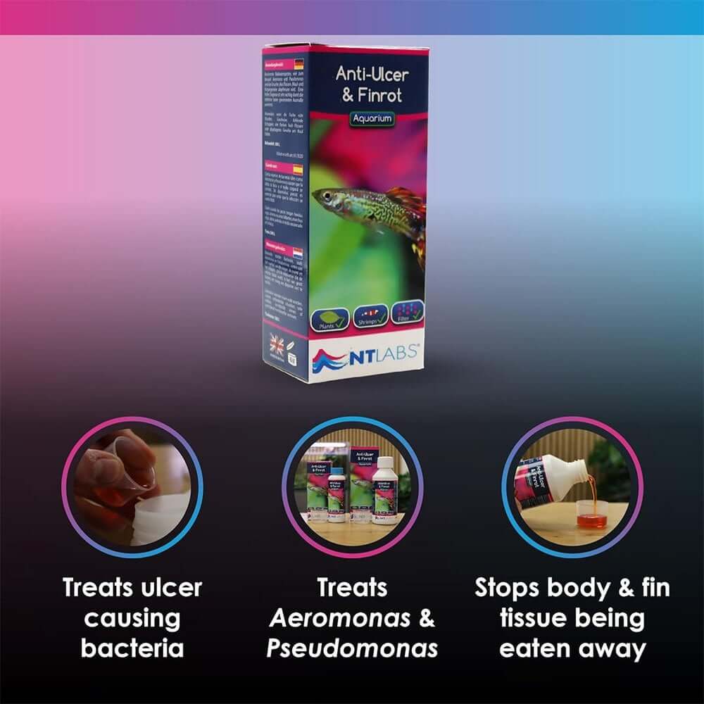 NT Labs Anti-Ulcer and Finrot treatment for fish, combating ulcers, Aeromonas, and Pseudomonas infections.