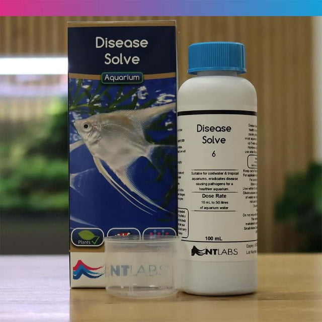 NT Labs Aquarium Disease Solve 100ml bottle for treating fish ailments in tropical and coldwater aquariums.