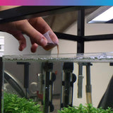 Person adding NT Labs Aquarium Filter Starter to an aquarium for effective waste breakdown and ammonia prevention.