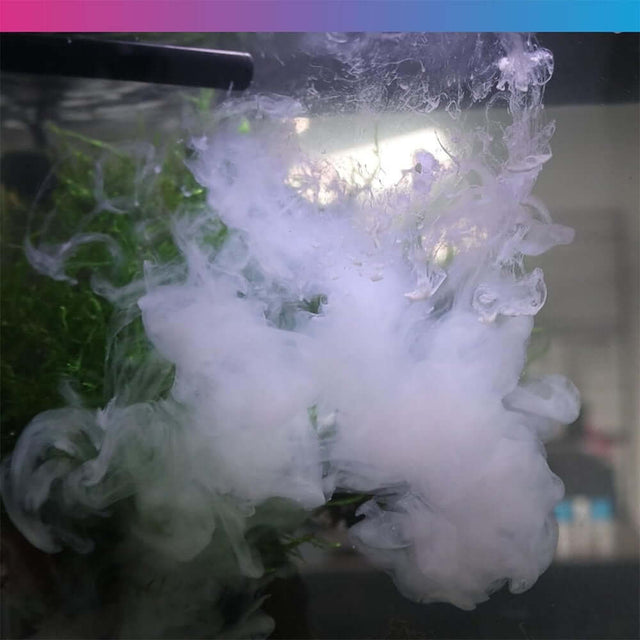 Cloudy water effect in aquarium illustrating NT Labs Aquarium Liquid Filter's ability to improve water clarity.
