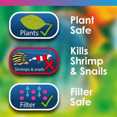 Infographic showing NT Labs Anti-Fluke and Wormer safety for plants, shrimp, snails, and filter in aquariums.