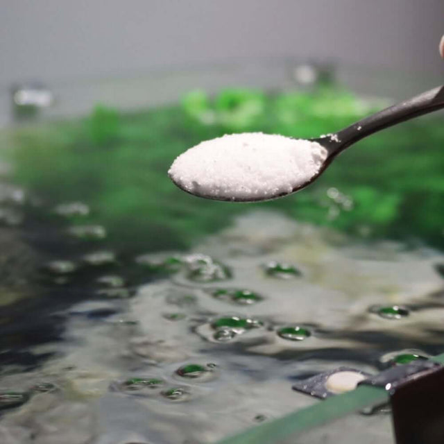 Spoonful of NT Labs AxoTonic Salt Mixture above an aquarium, showcasing optimal water conditions for axolotls.