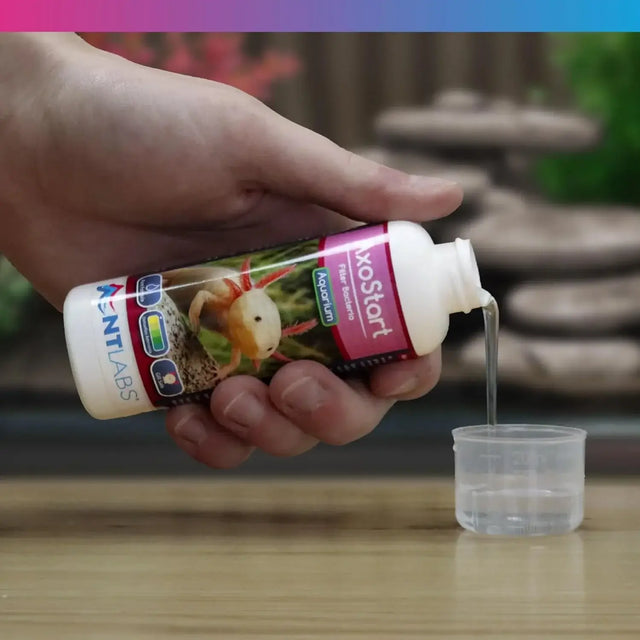 NT Labs AxoStart Bacteria 100ml being poured into a measuring cap for Axolotl tank maintenance.