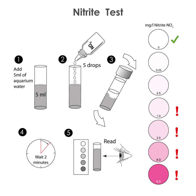 Step-by-step guide for using NT Labs Nitrite Test Kit to monitor aquarium nitrite levels.