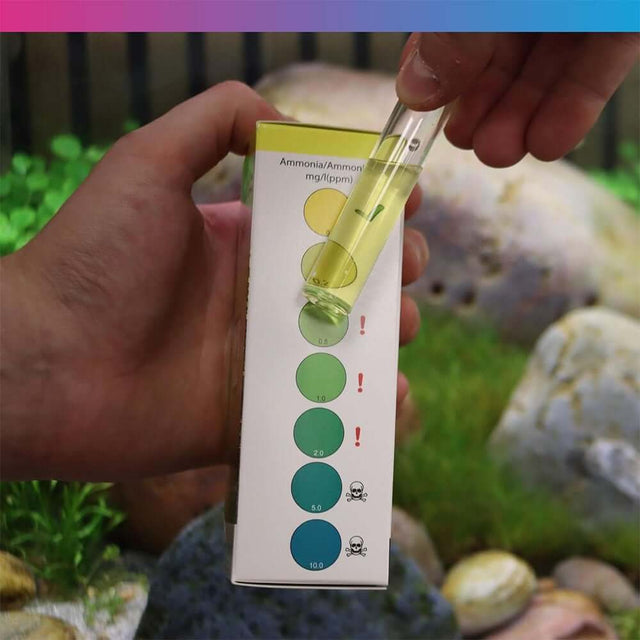 Hand holding NT Labs Ammonia Test Kit test tube, showing ammonia level chart for aquariums and ponds.