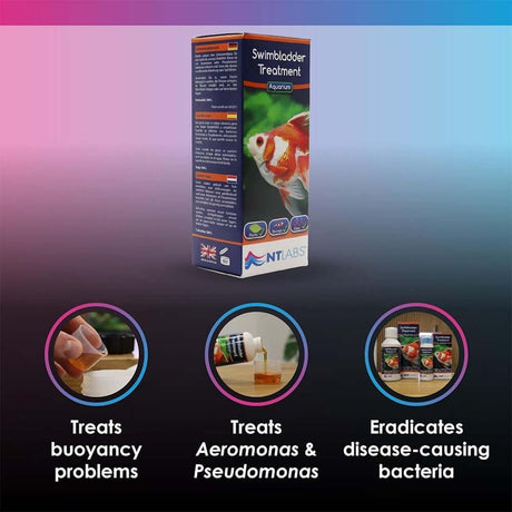 NT Labs Swimbladder Treatment box, aids buoyancy and treats internal bacterial infections in fish.