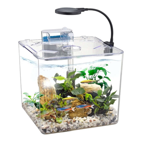 Nubios Desktop Betta Bowl 12L clear acrylic aquarium showcasing aquatic plants and colorful fish.