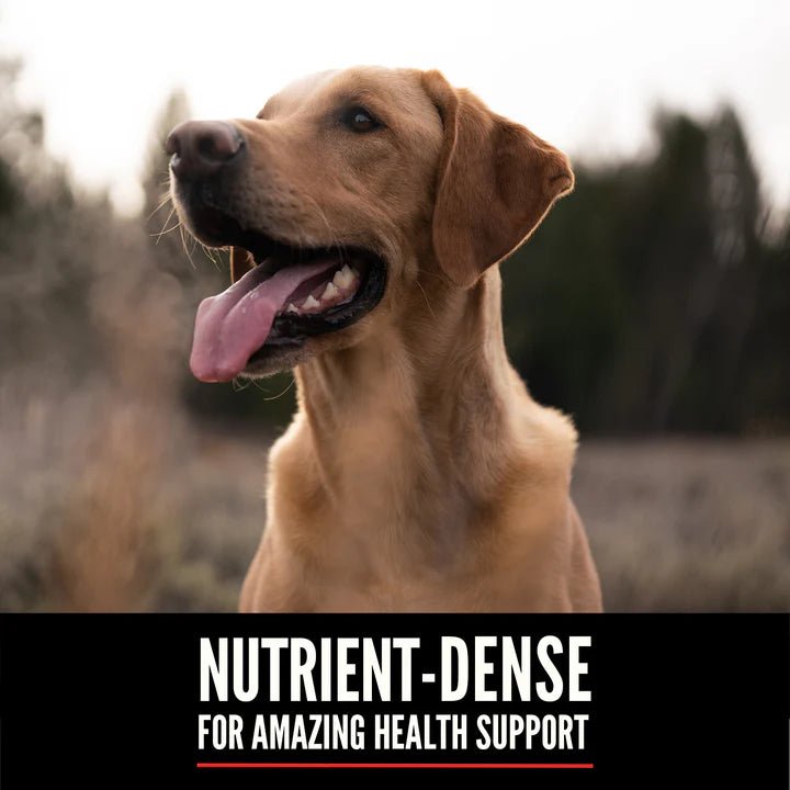 Orijen Original Dog Food Grain Free